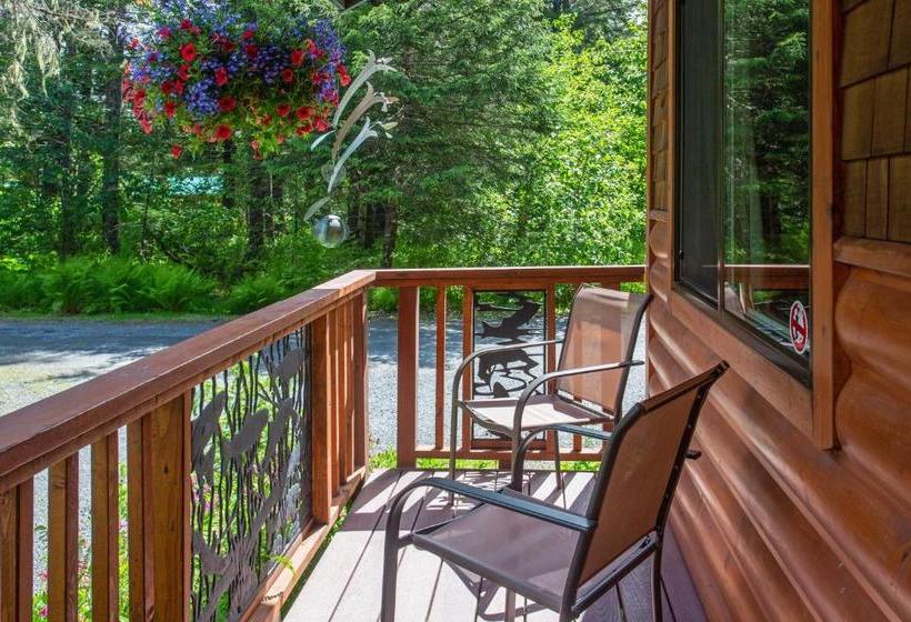 فندق صغير Steller Inn