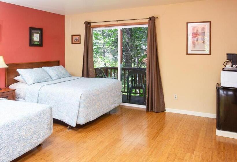 فندق صغير Steller Inn