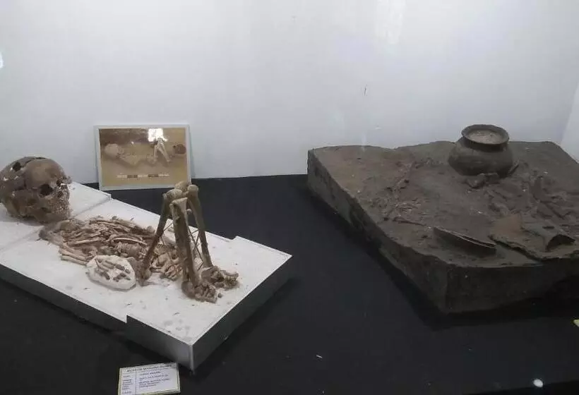 Majatalo The Arya Guest House