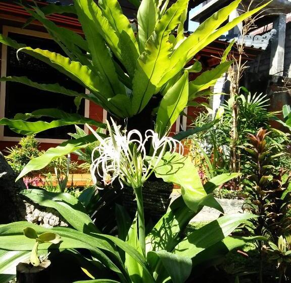 Pansiyon The Arya Guest House