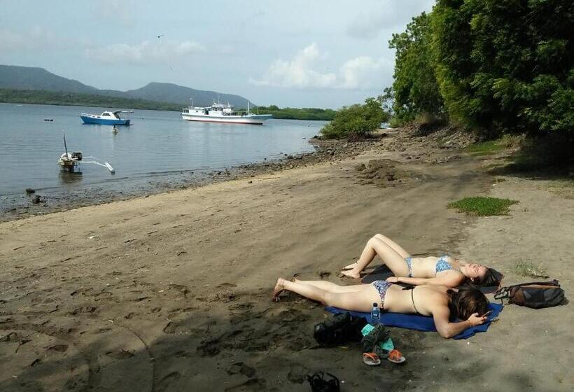 Pansiyon The Arya Guest House