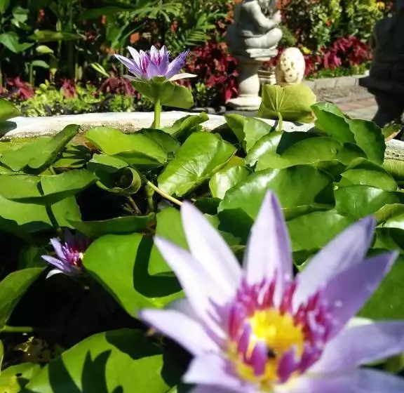 Majatalo The Arya Guest House