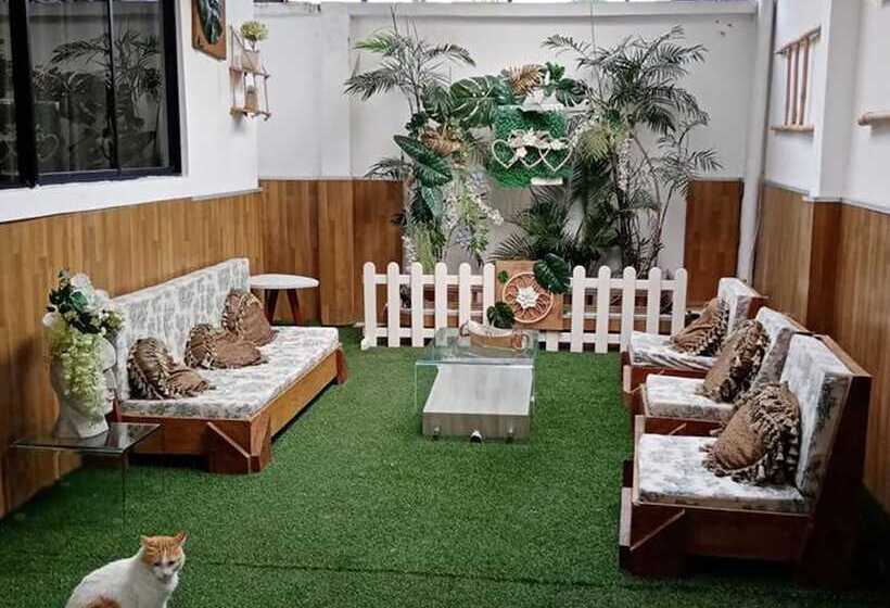 پانسیون Costa Verde Hostal