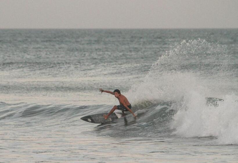 Общежитие Panama Beach Lodge