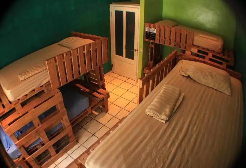 ユースホステル Panama Beach Lodge