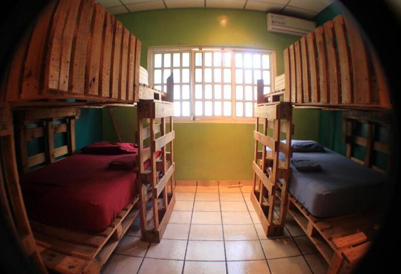 Общежитие Panama Beach Lodge