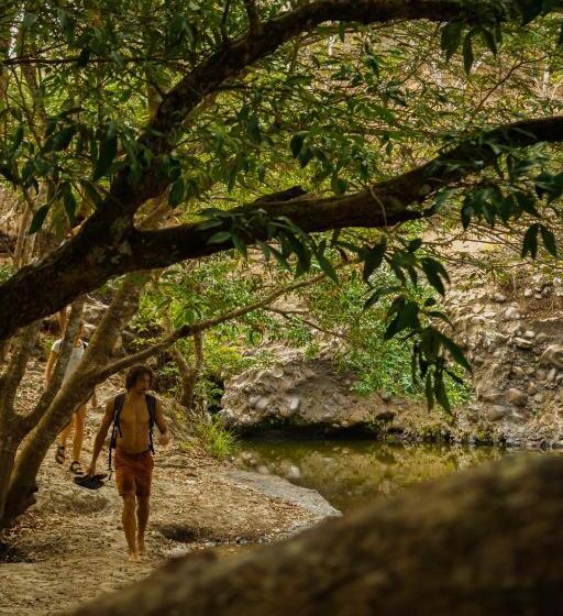 Общежитие Panama Beach Lodge