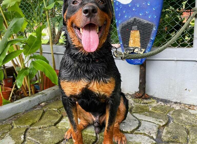 Общежитие Panama Beach Lodge