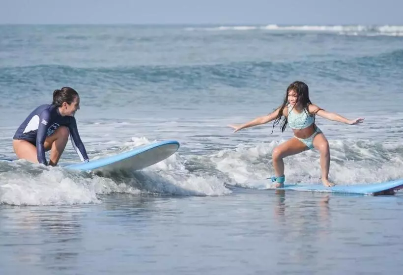 ユースホステル Panama Beach Lodge