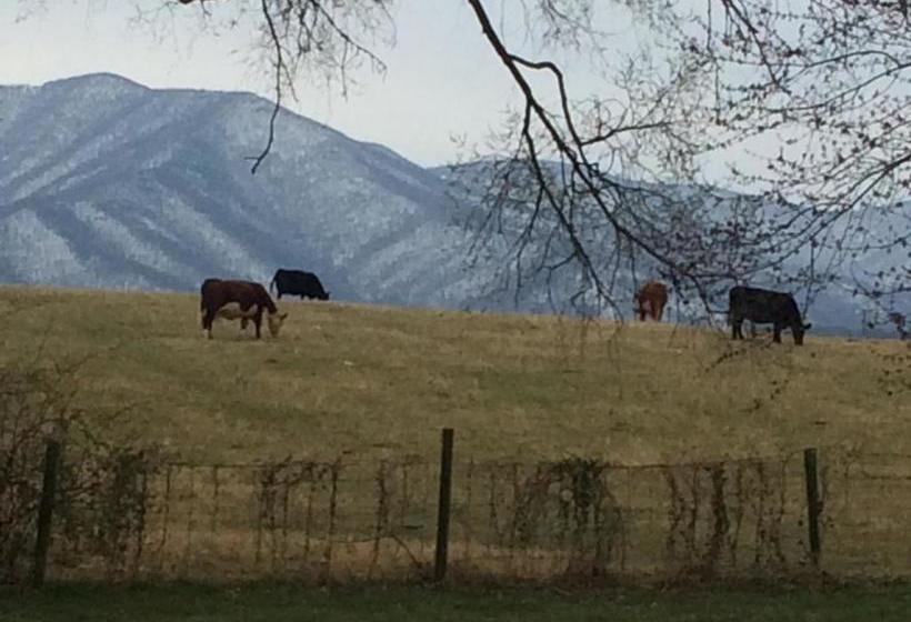 Peabody S Hip Little Stay B&b