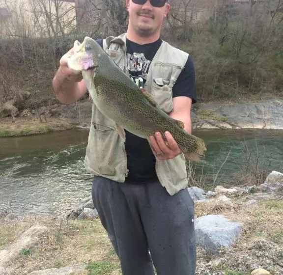 Peabody S  Hip Little Stay  B&b