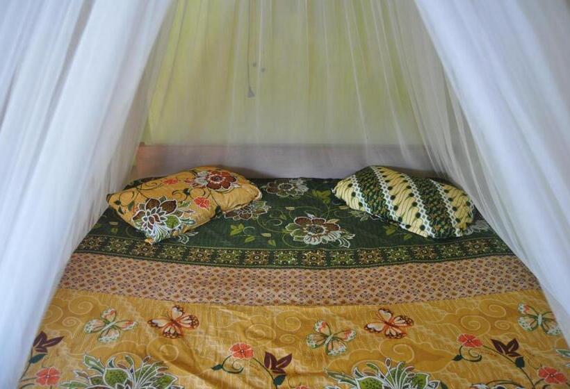 بنسيون Fun Family Guest House N Jungle Tour