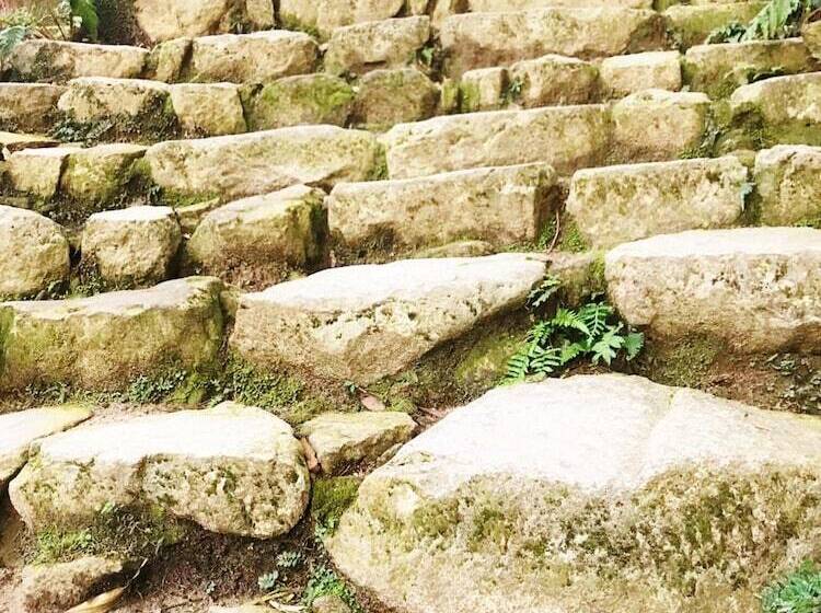 פנסיון Guest House Branchee