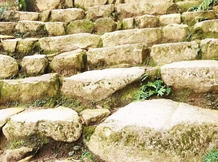 ペンション Guest House Branchee