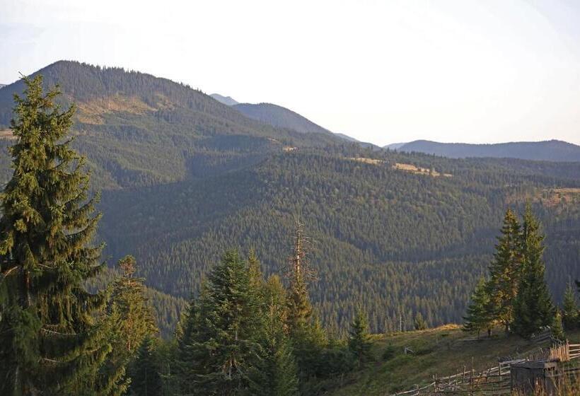 پانسیون Vila Zenyt