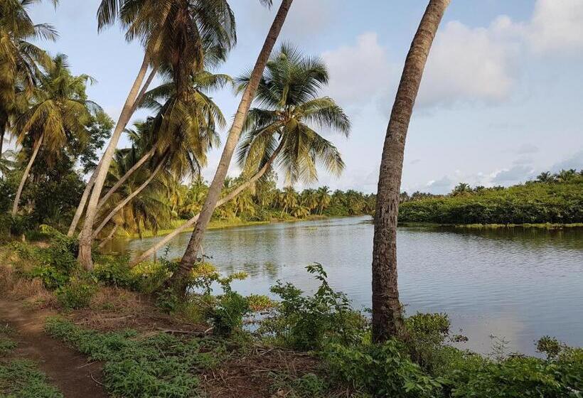 هاستل Ramaya Auberge Espagnole