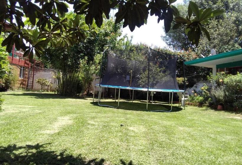 Las Fumarolas De Don Goyo Cholula