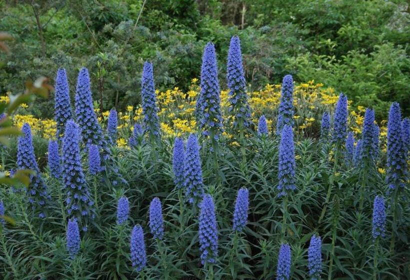 פנסיון Hillside Inn Sirocco