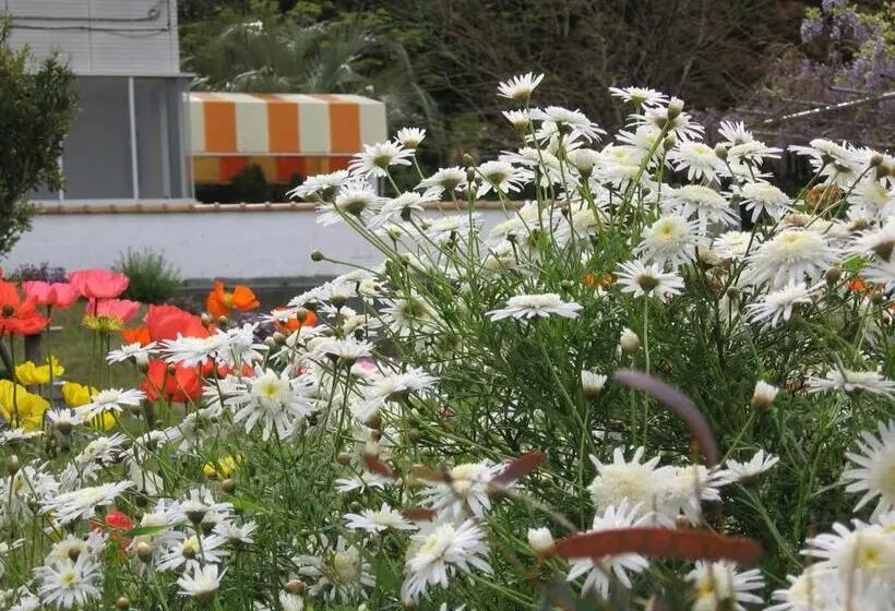 ペンション Hillside Inn Sirocco