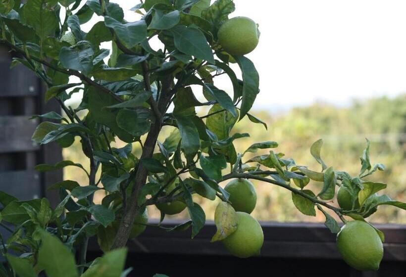 פנסיון Hillside Inn Sirocco