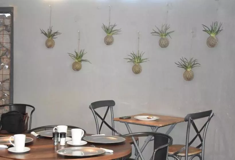 پانسیون Quiver Inn Guesthouse