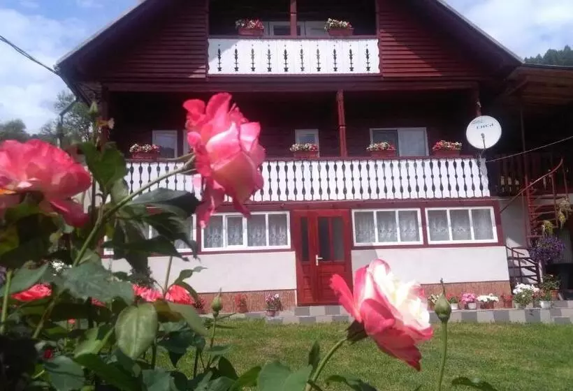 Pensiunea Daiana