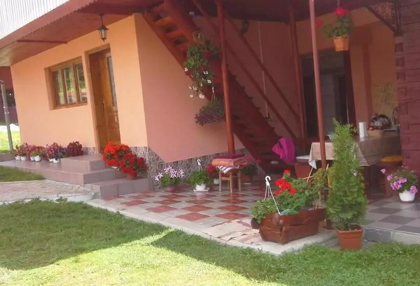 Pensiunea Daiana
