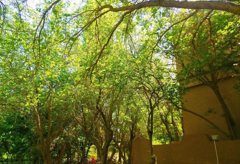 Pensão Dunhuang Jinshe Times Inn