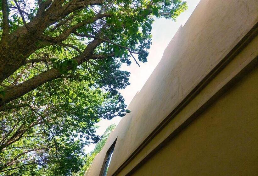 Pensão Dunhuang Jinshe Times Inn