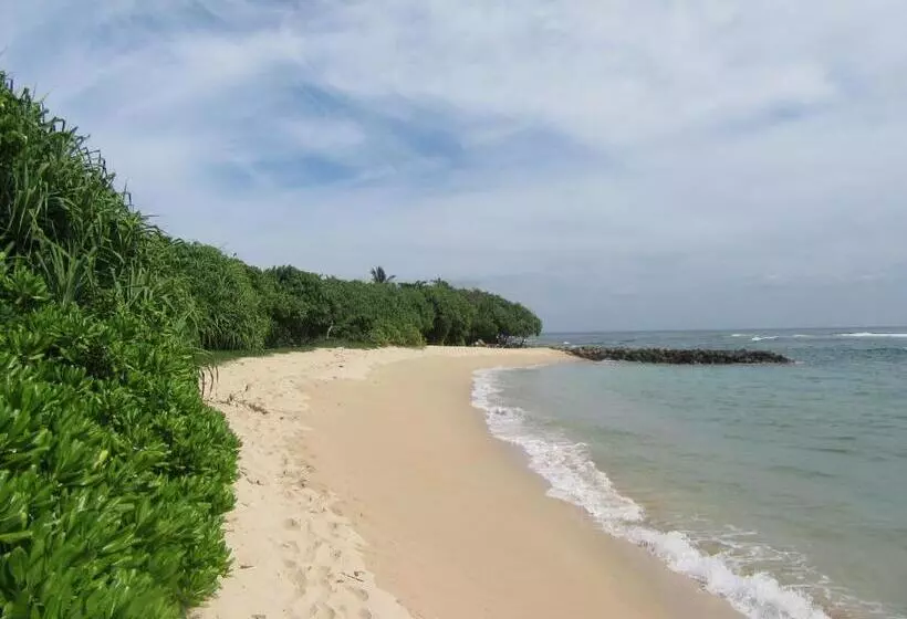 Colonial Surfing Villa Hostel & Home Stay