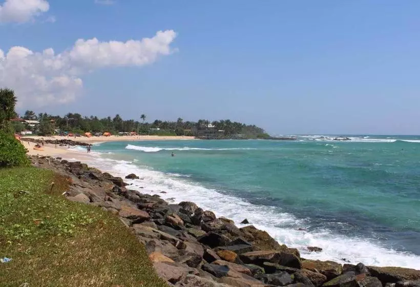 Colonial Surfing Villa Hostel & Home Stay