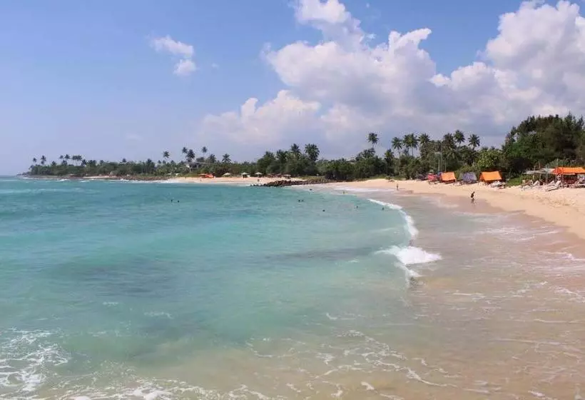 Colonial Surfing Villa Hostel & Home Stay