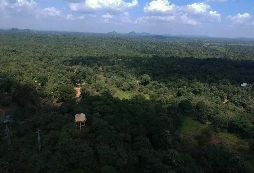 Green House Resort