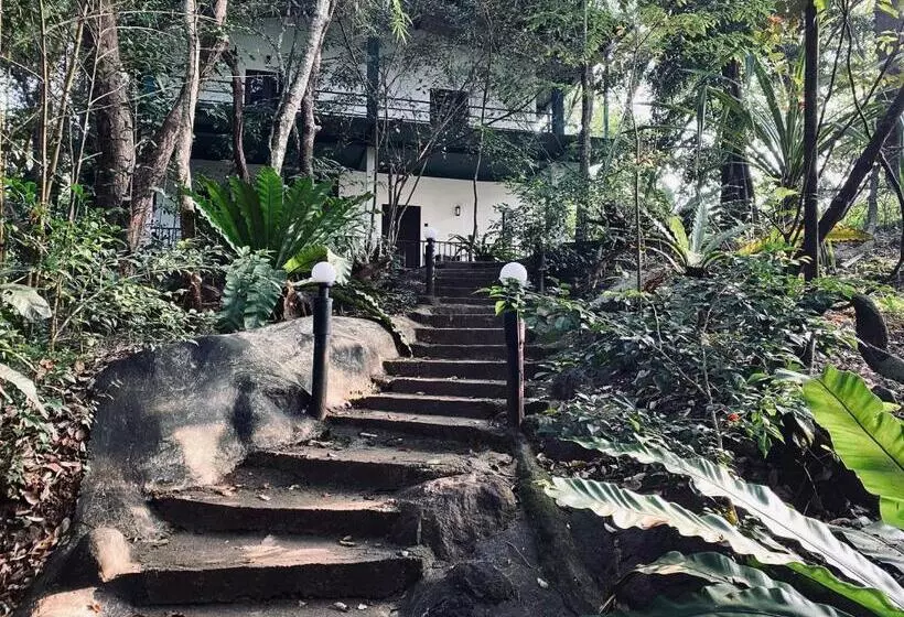 Green House Resort