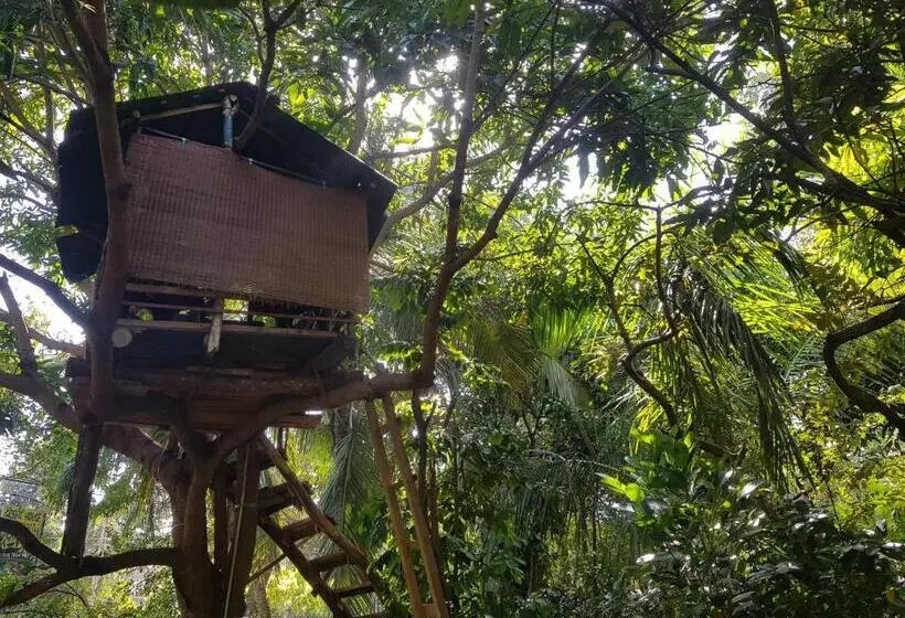 Green House Resort