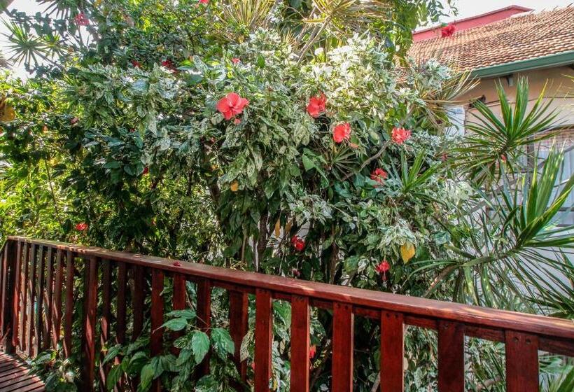 פנסיון Beechwood B&b