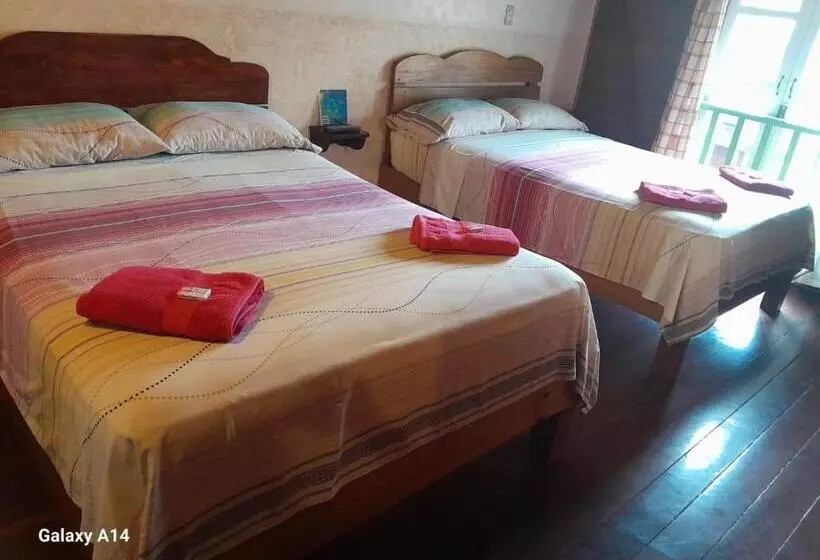 پانسیون Hostal Hansi