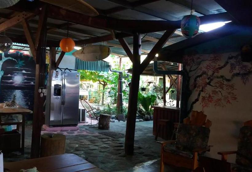 بنسيون Osa Surf House