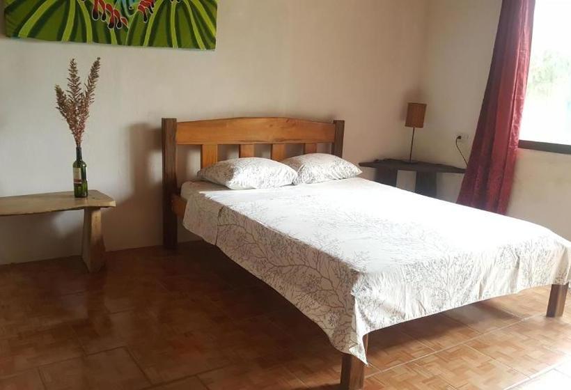 بنسيون Osa Surf House