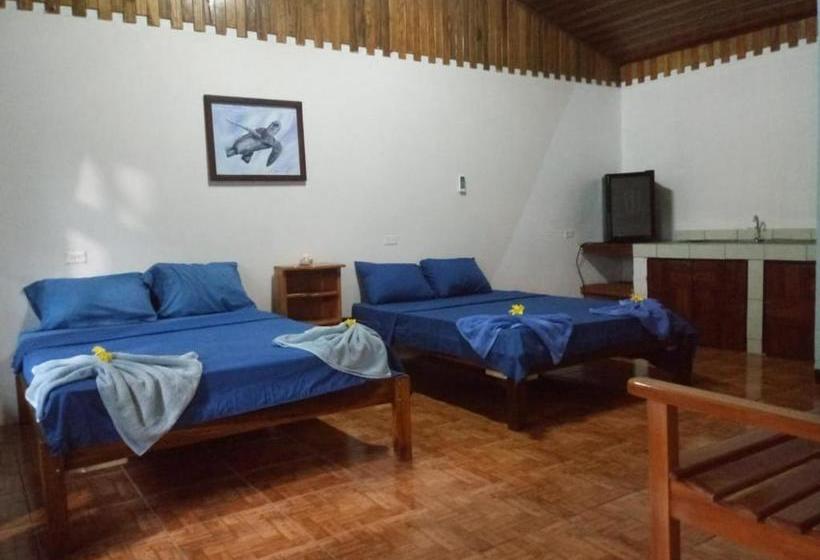 بنسيون Osa Surf House