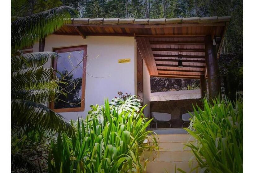 膳宿费 Pousada Chácara Putini