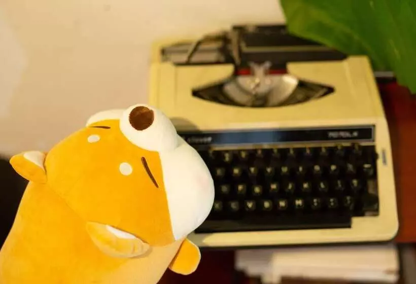 Daegu 동성로 Gyeong`s Hostel