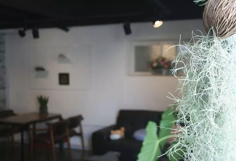 Daegu 동성로 Gyeong`s Hostel