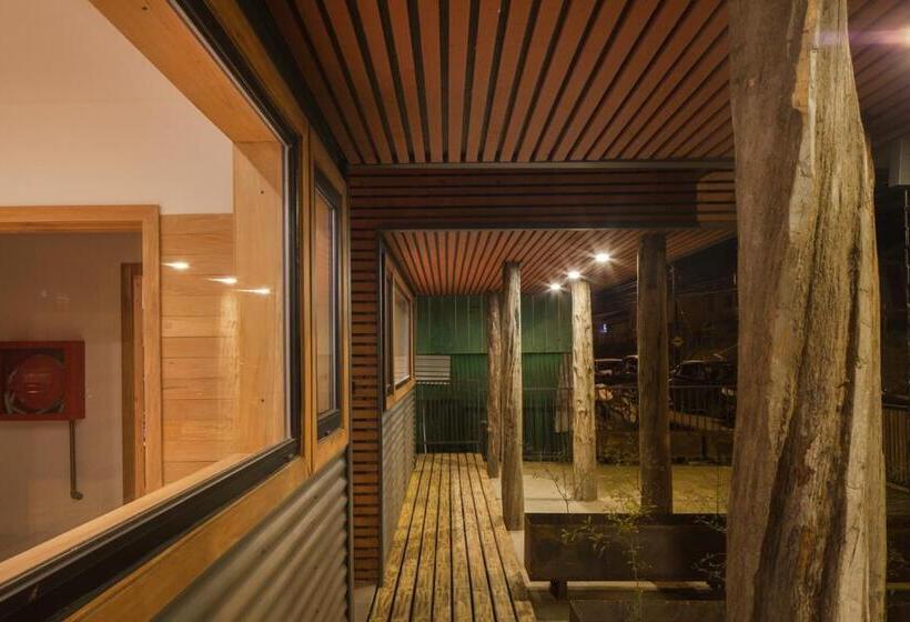 Palafito Del Carpintero