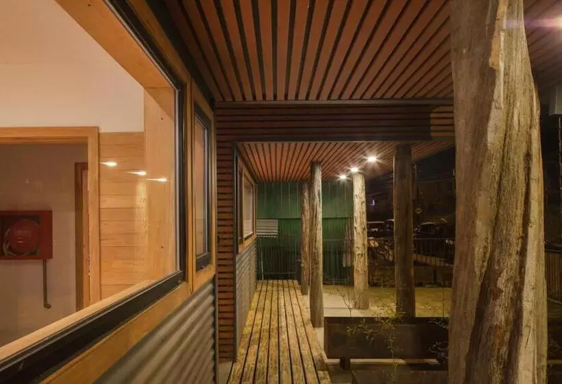 Palafito Del Carpintero