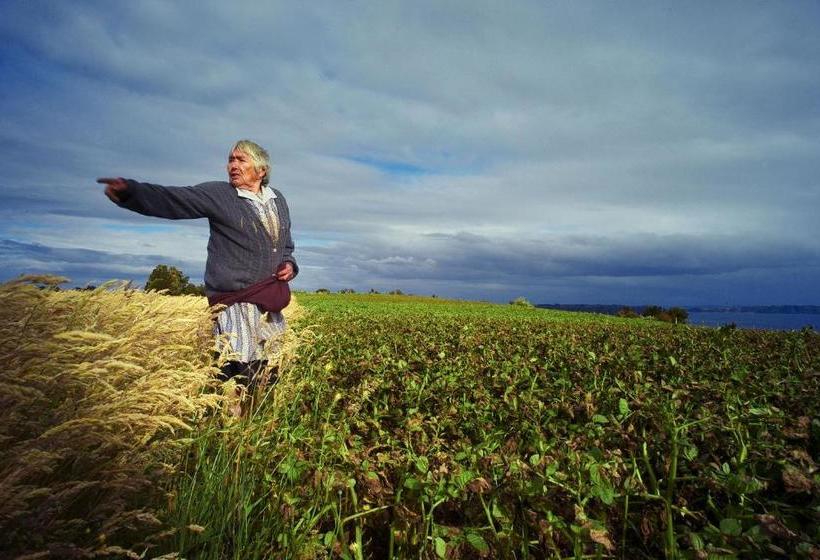 Palafito Del Carpintero