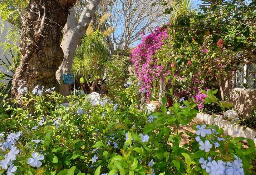 Пансион Guest House Frame Ace