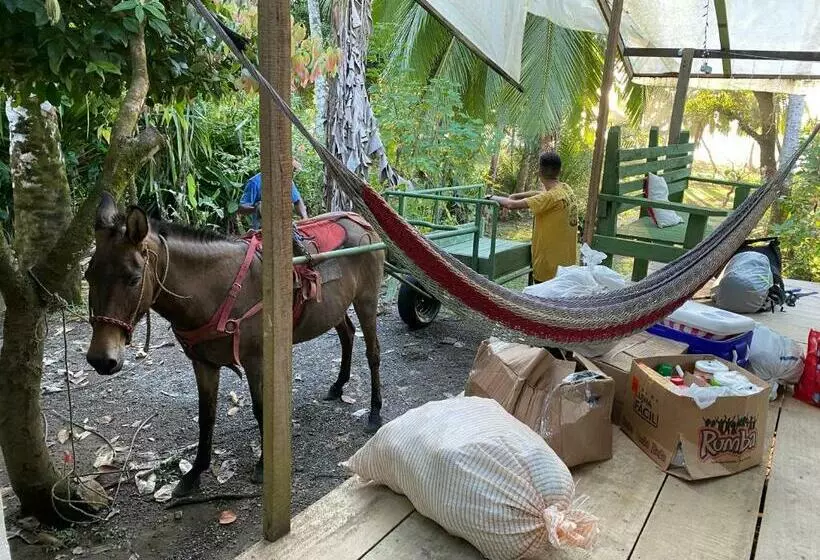 Majatalo Life For Life Hostel Drake Bay Home Of Sea Turtle Marine Conservation Project Osa Peninsula Near San