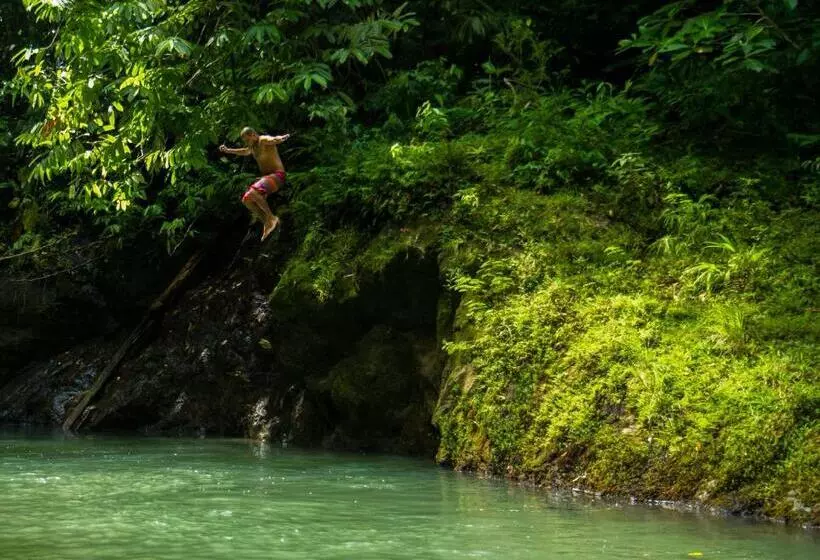Majatalo Life For Life Hostel Drake Bay Home Of Sea Turtle Marine Conservation Project Osa Peninsula Near San