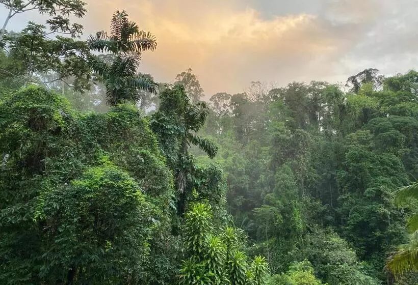 Majatalo Life For Life Hostel Drake Bay Home Of Sea Turtle Marine Conservation Project Osa Peninsula Near San